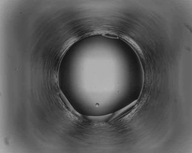 X0000097470809200802291309