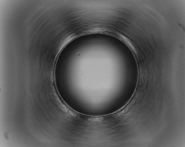 X0000097470810200802291309