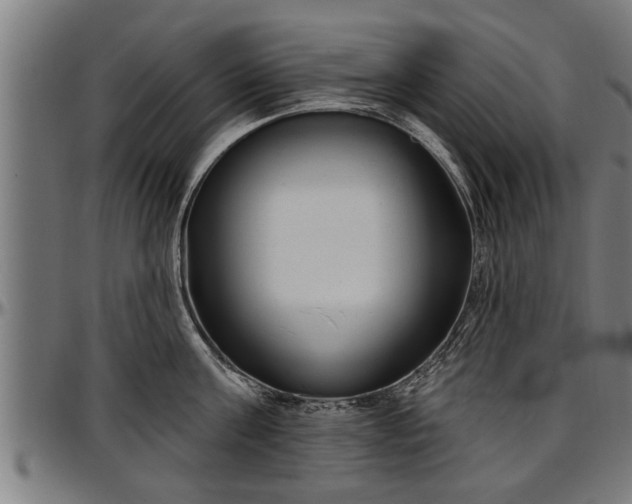 X0000097470811200802291309