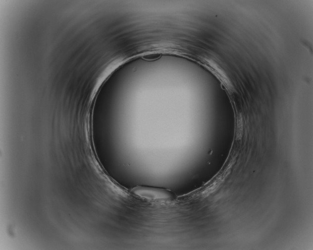 X0000097470812200802291309