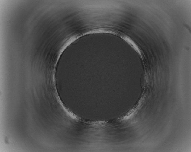 X0000097470813200802291309