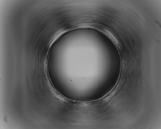 X0000097470814200802291309