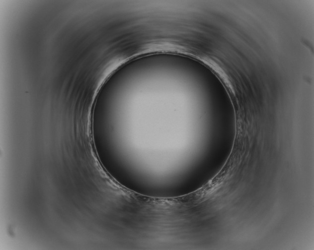 X0000097470815200802291309