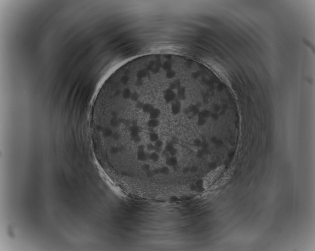 X0000097470816200802291309