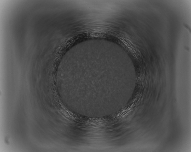 X0000097470817200802291308