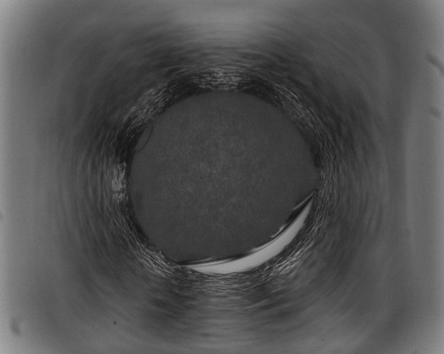 X0000097470818200802291308