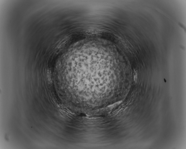 X0000097470819200802291308