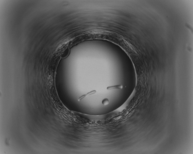 X0000097470821200802291308