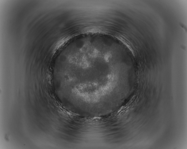 X0000097470823200802291308