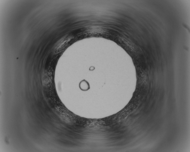 X0000097470824200802291308