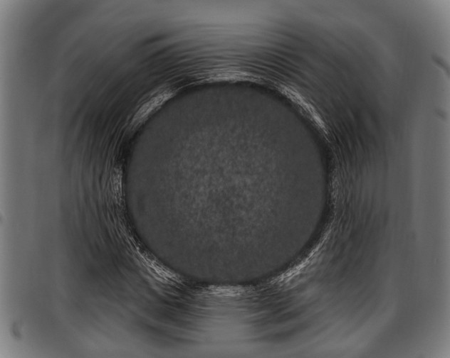 X0000097470825200802291308