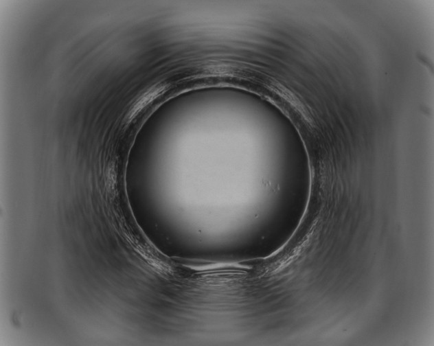 X0000097470826200802291308