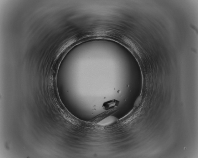X0000097470827200802291308