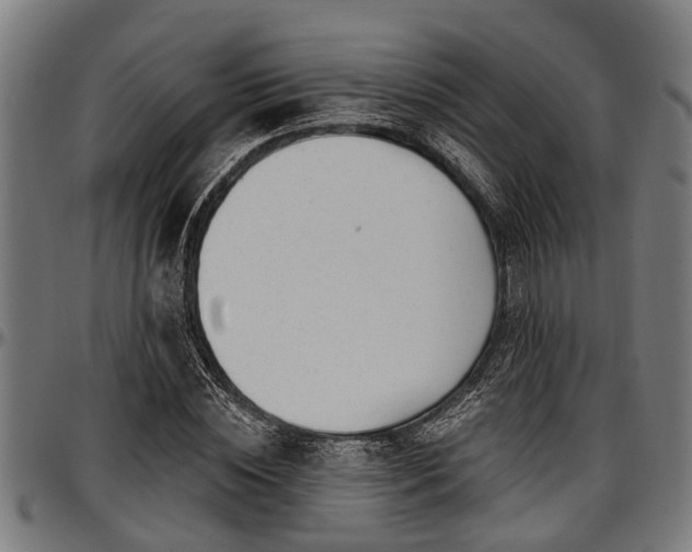 X0000097470828200802291308