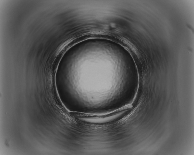 X0000097470829200802291308
