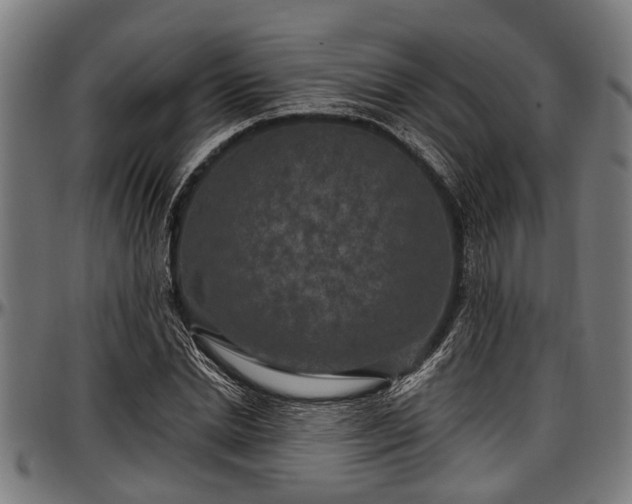 X0000097470830200802291309