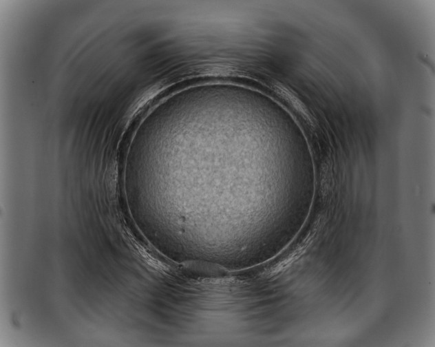X0000097470831200802291309
