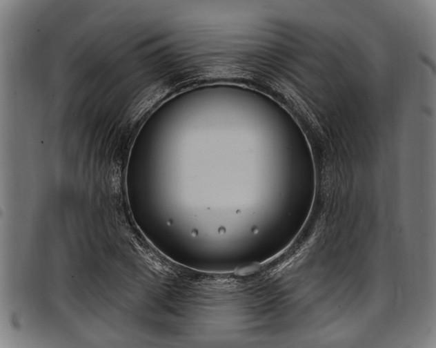 X0000097470833200802291309