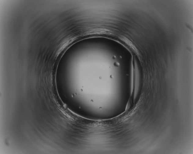 X0000097470834200802291309