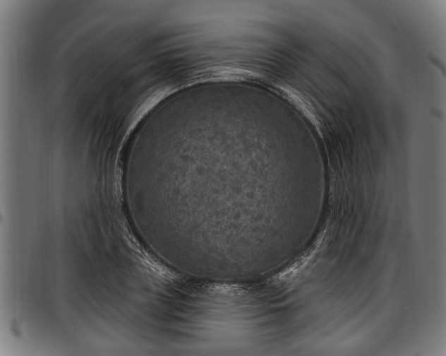 X0000097470835200802291309