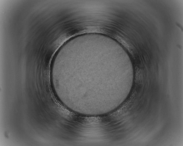 X0000097470836200802291309