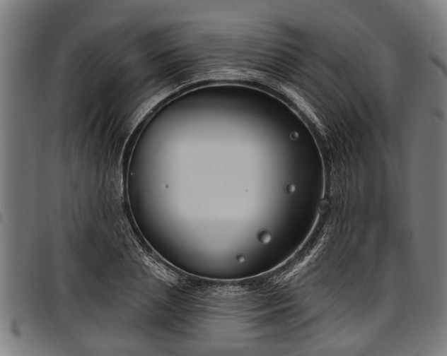 X0000097470837200802291309