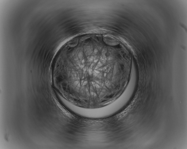 X0000097470838200802291309