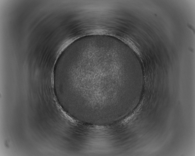 X0000097470839200802291309