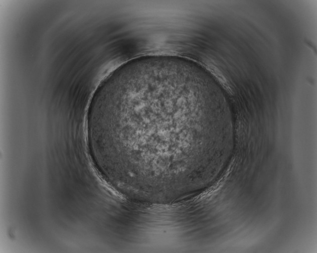 X0000097470840200802291309