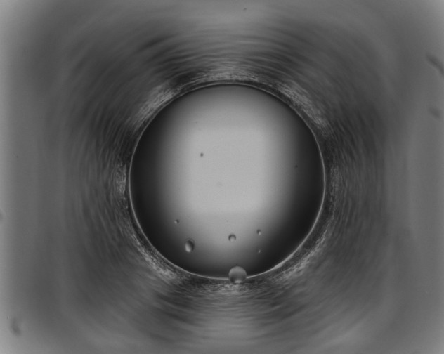 X0000097470841200802291309