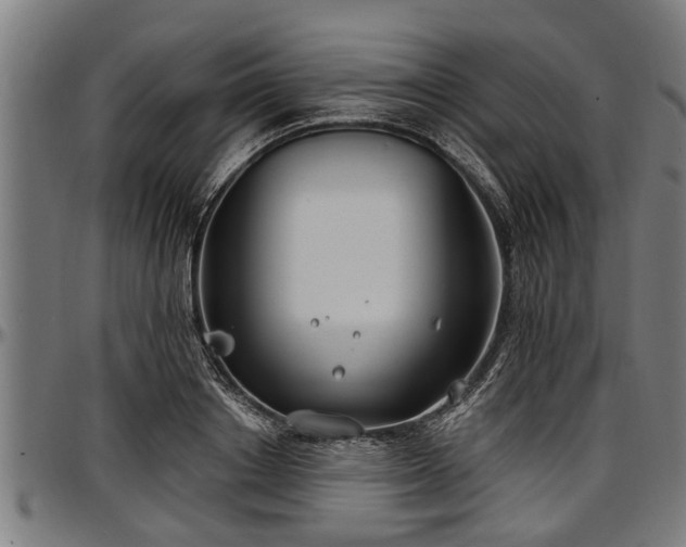 X0000097470842200802291309