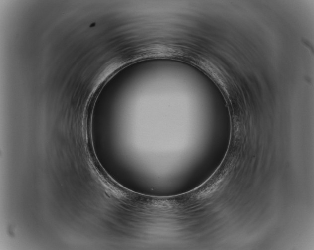 X0000097470843200802291309