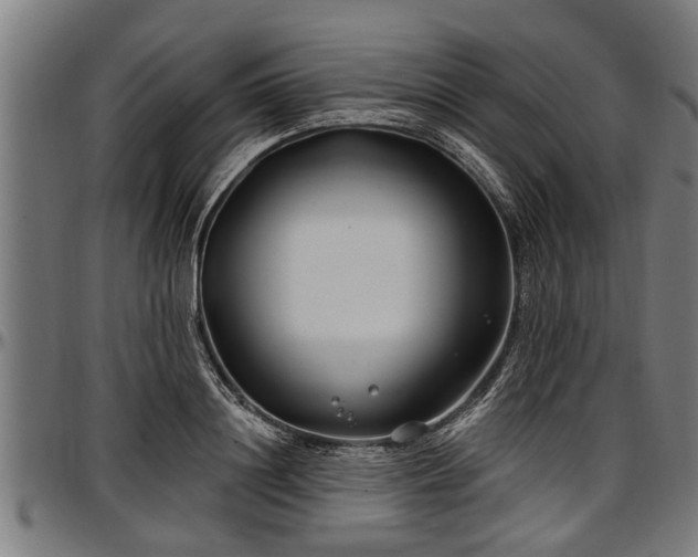 X0000097470844200802291309