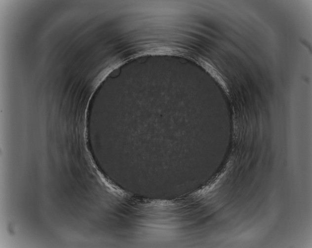 X0000097470845200802291309