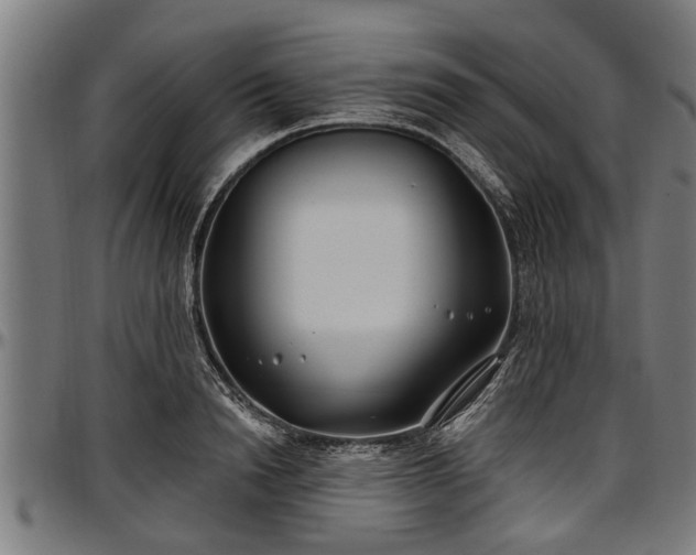 X0000097470846200802291309