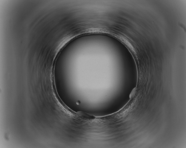 X0000097470847200802291309
