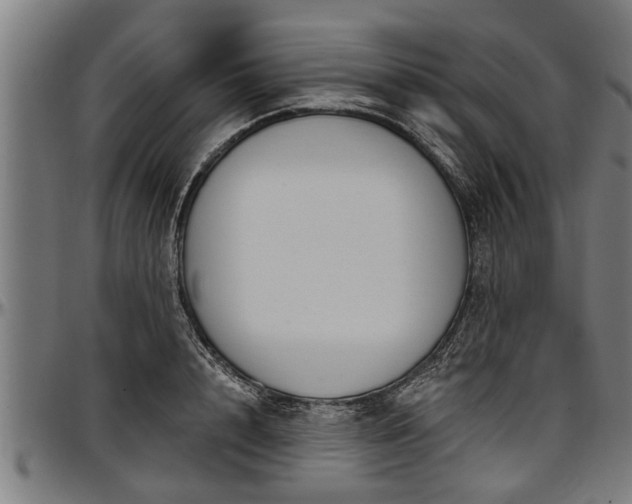 X0000097470848200802291309
