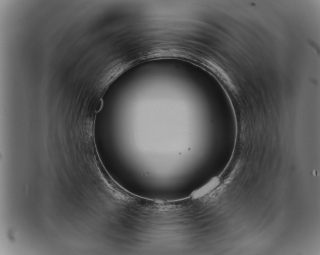 X0000097470849200802291309