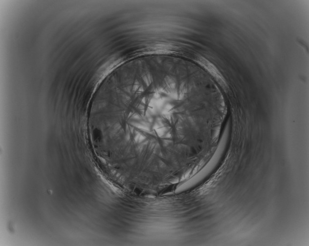 X0000097470850200802291309