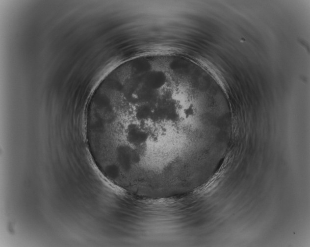 X0000097470851200802291309