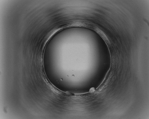 X0000097470852200802291309