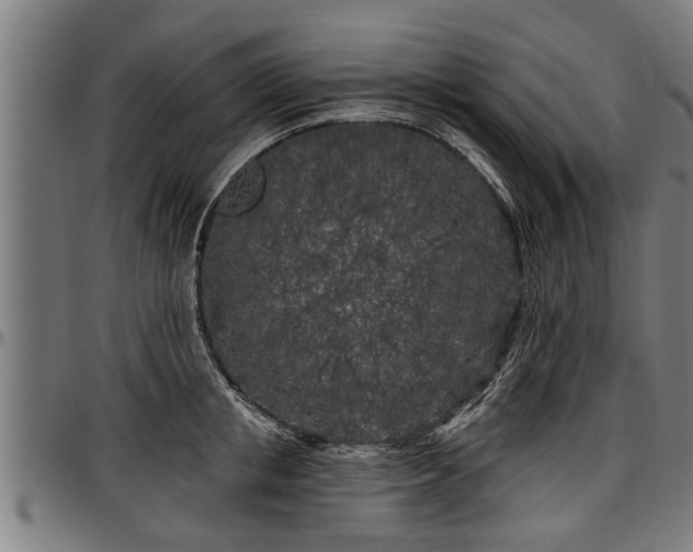 X0000097470853200802291309