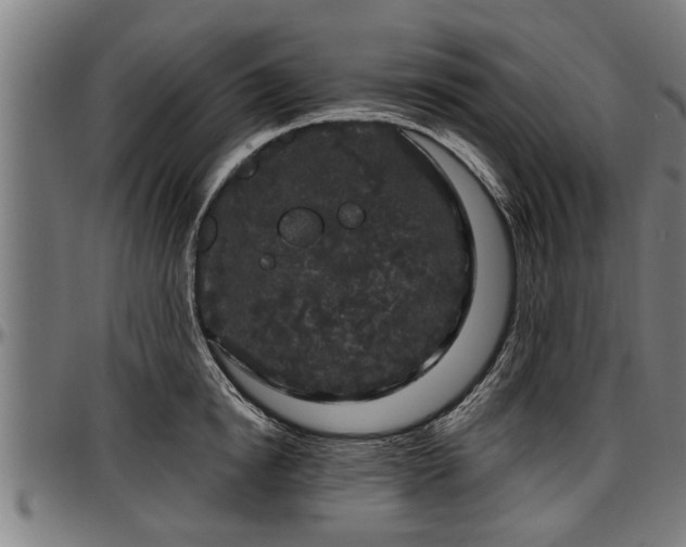 X0000097470854200802291309