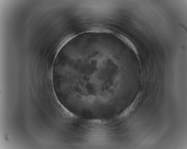 X0000097470855200802291309