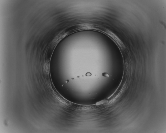 X0000097470857200802291309