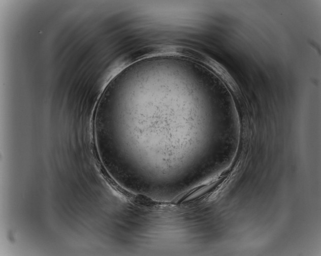 X0000097470858200802291309