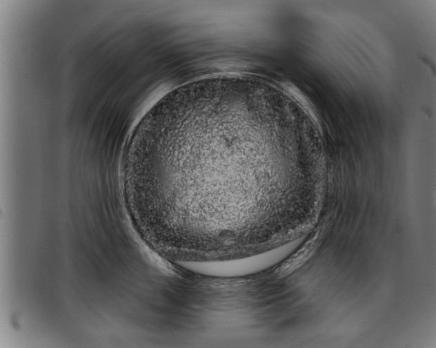 X0000097470859200802291309