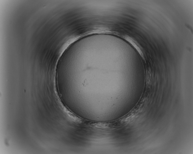 X0000097470861200802291309