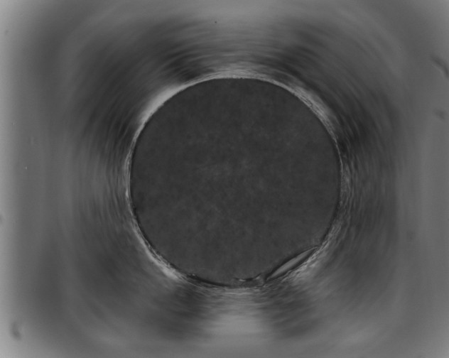 X0000097470862200802291309