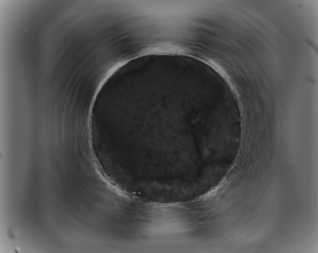 X0000097470864200802291309
